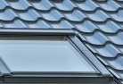 Ecklin Southskylight-replacements.jpg; ?>